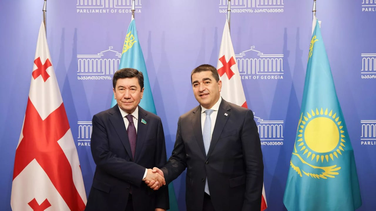 Спикеры парламентов Грузии и Казахстана обсудили расширение сотрудничества двух стран