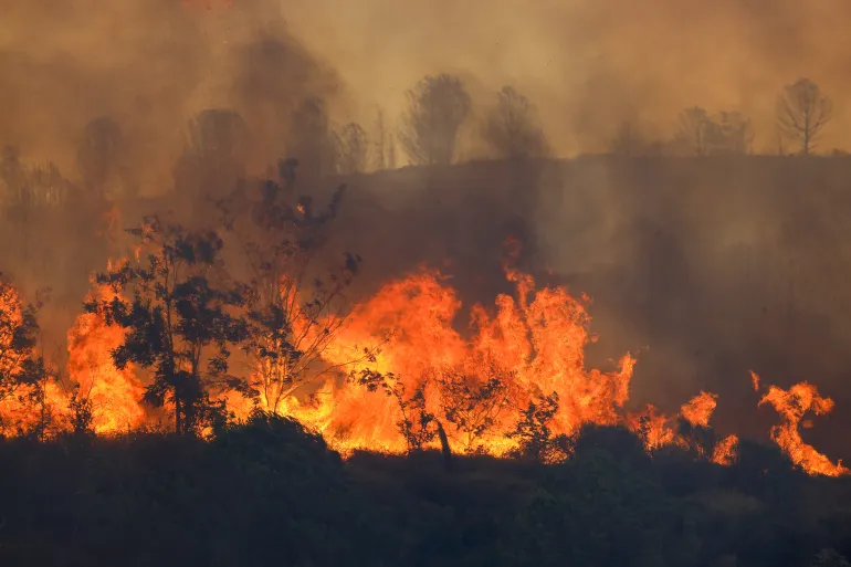 Դիլիջանի և Ճամբարակ-Թթուջուրի հատվածներում հրդեհները շարունակվում են. ՆԳՆ ՓԾ