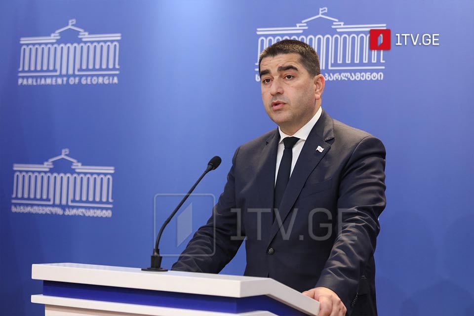 Грузия оказалась бы там, где сегодня Украина — Папуашвили о противодействии давлению ЕС