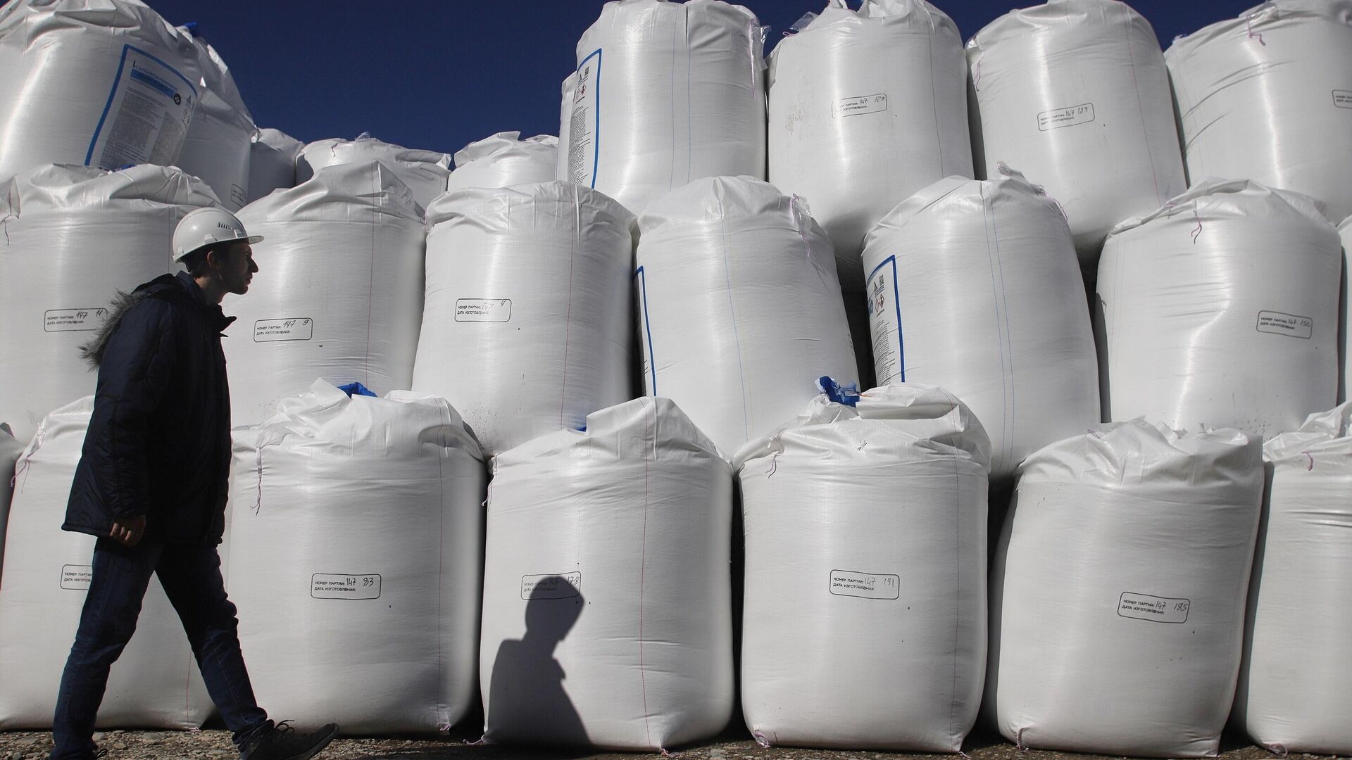 Լուսանկարը` sputnik