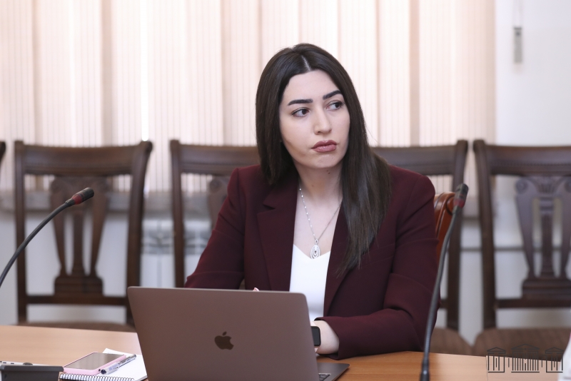 Глава МВД: убийств в Армении в 2 раза меньше среднемирового показателя