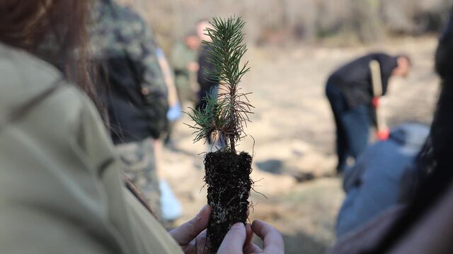 Լուսանկարը` Sputnik