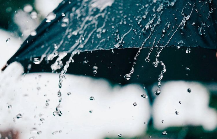 Լուսանկարը` Tribune.am