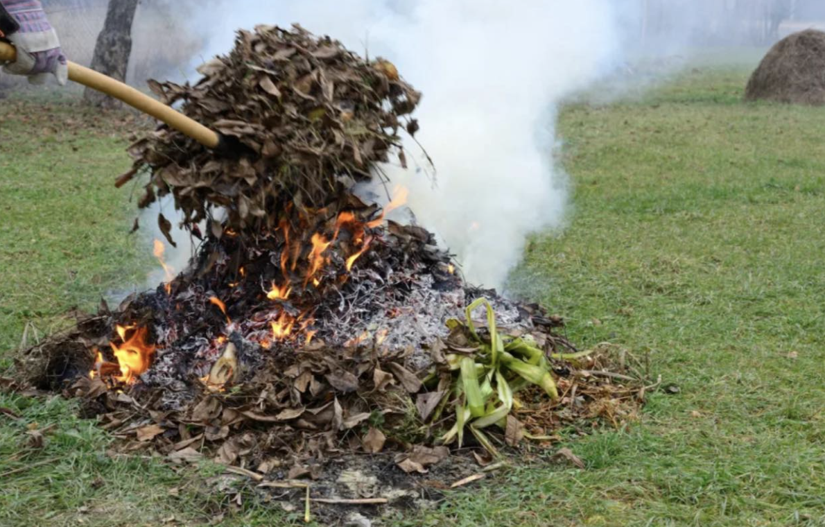 Լուսանկարը` https://www.instagram.com/p/DP_FGdpCELM/