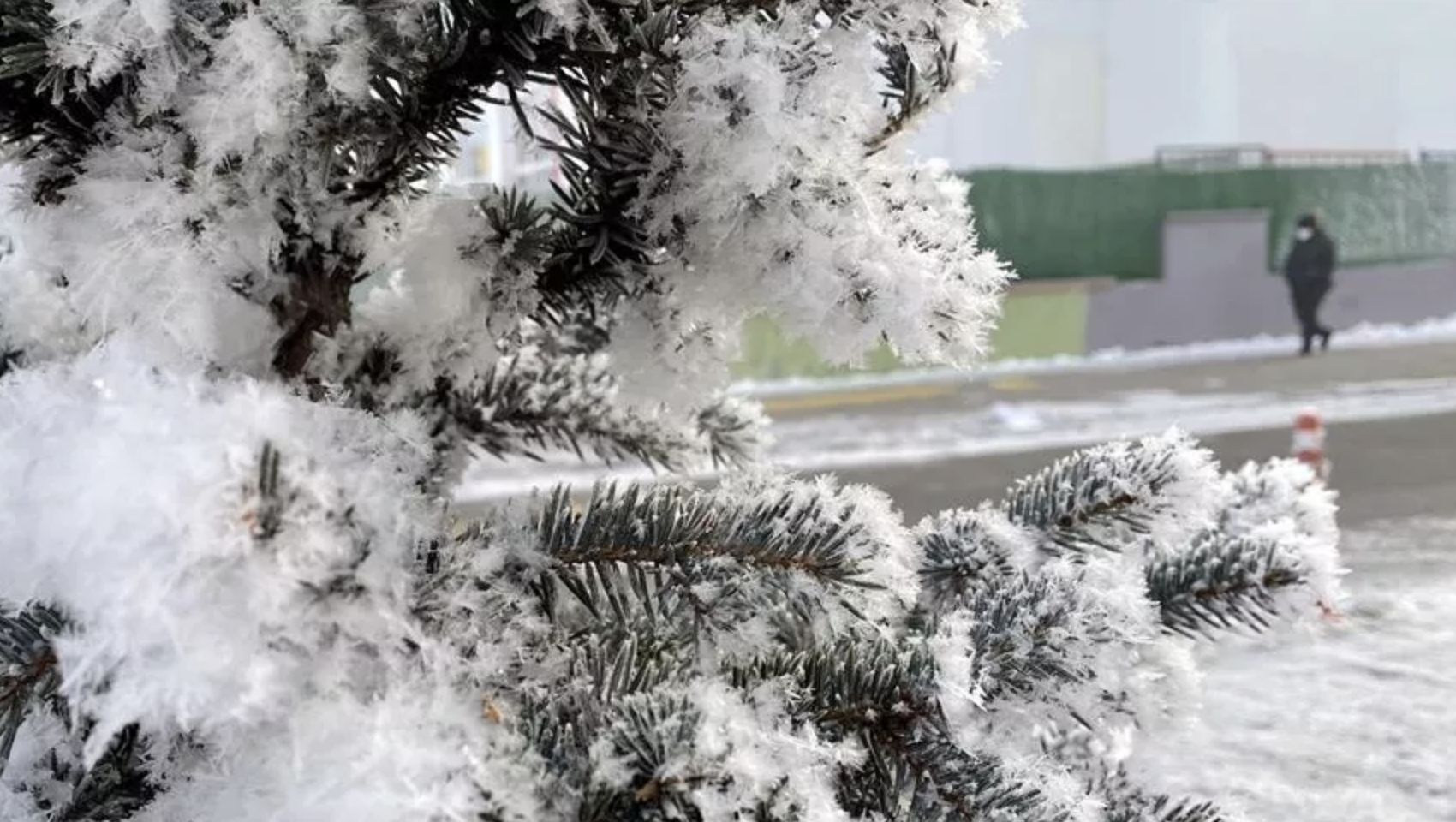 Լուսանկարը` Sputnik