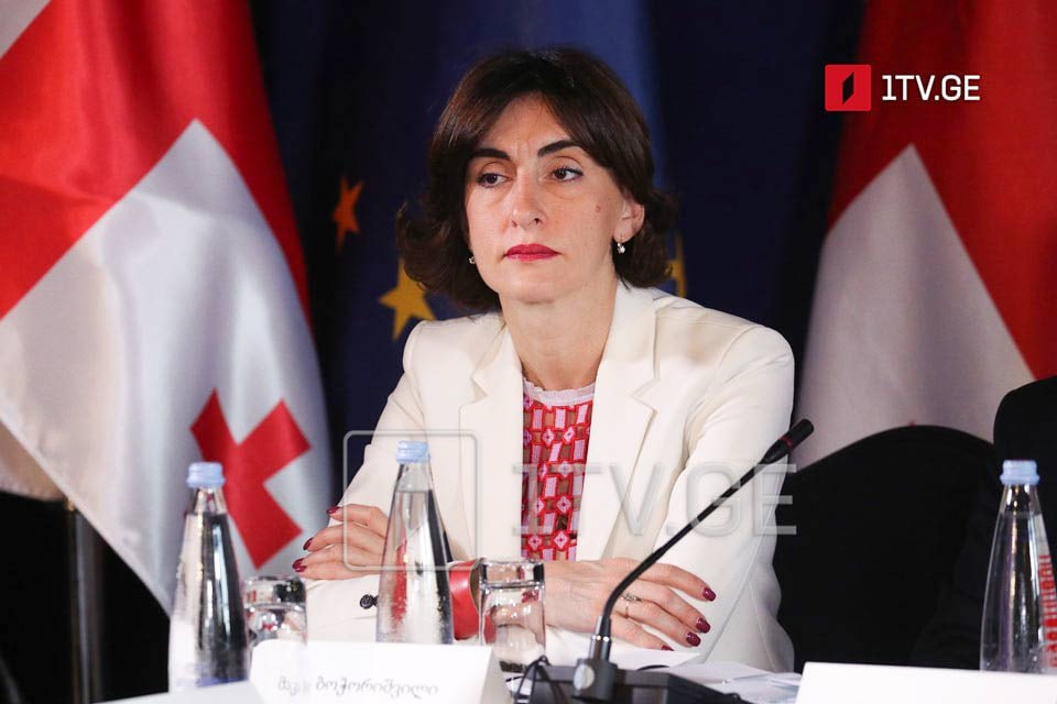 Брюссель допускает стратегическую ошибку – глава МИД о роли Грузии и ошибках ЕС