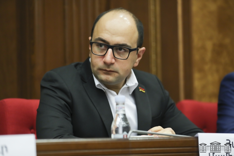 Հայաստանի քաղաքացիների ձայները գողացվել են. Մամիջանյանի ելույթը ԵԽԽՎ-ում 