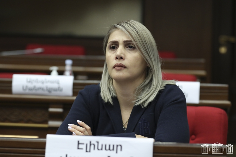 Կալանքների շղթան պետք է կտրվի. Էլինար Վարդանյան